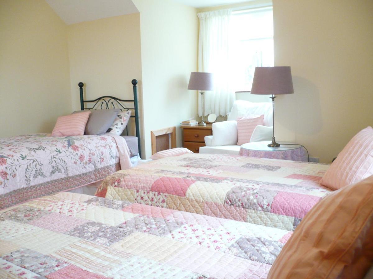 Tyreda Bed and Breakfast Ennis Exteriör bild